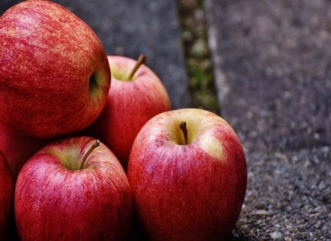 خرید سیب درختی مهاباد + قیمت فروش استثنایی